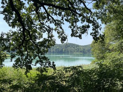 Schermützelsee in Buckow Türkiser Schermützelsee in Buckow