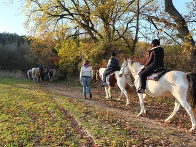 Reitausflug bei einer Auszeit mit Pferden