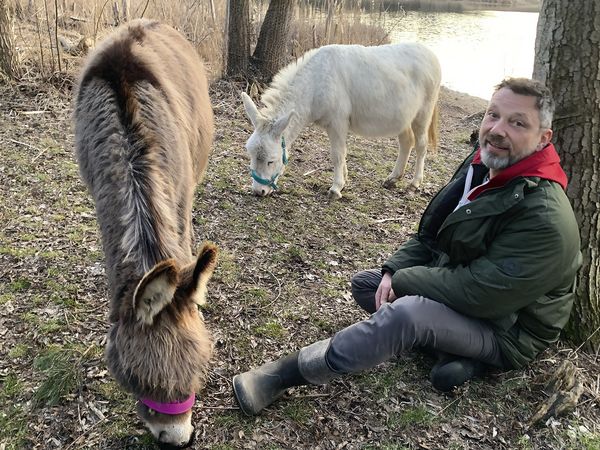 Ein Mann sitz am Baum mit zwei Esel