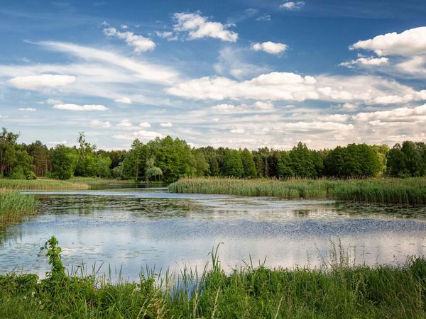 See in Wriezen bei Alte Oder in Märkisch Oderland im Oderbruch