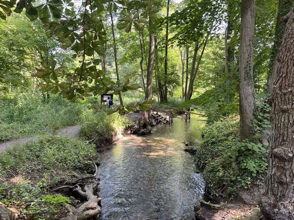Werderfließ bei Buckow Werderfließ bei Buckow