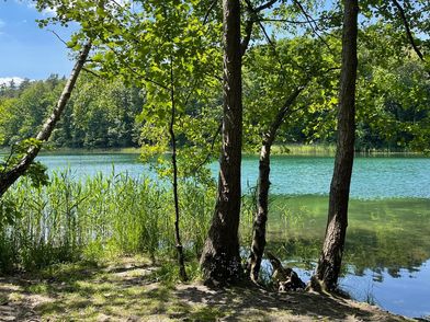 Blauer Liepnitzsee