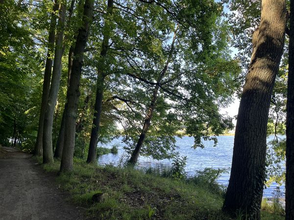 Wandern am Kalksee Wanderweg mit Blick auf den Kalksee