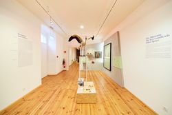 ausgestopfter Storch im großen Ausstellungsraum eins