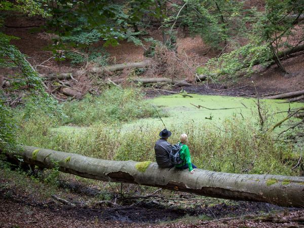 Zwei Wanderer machen Rast auf einem umgestürzten Baum im Naturpark Schlaubetal.