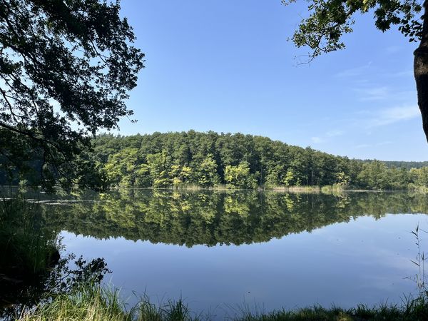 Weißer See bei Buckow Blick auf den Weißer See bei Buckow