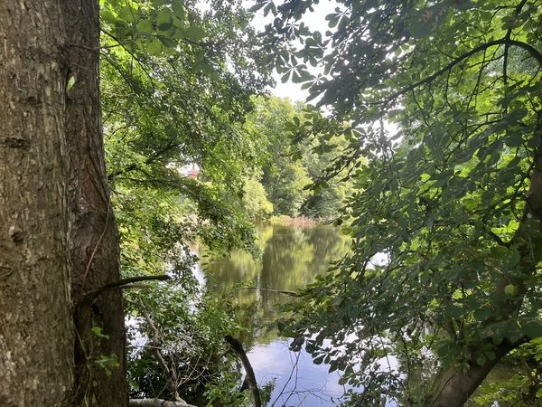 Durch das Annafließ zum Herren- und Straussee - Spätaufstehertour Blick auf der Herrensee