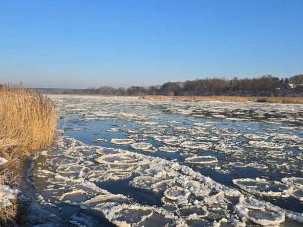 Eisschollen treiben auf der Oder