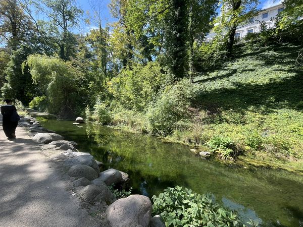 Lennépark Frankfurt (Oder) Bach im Lennépark Frankfurt (Oder)