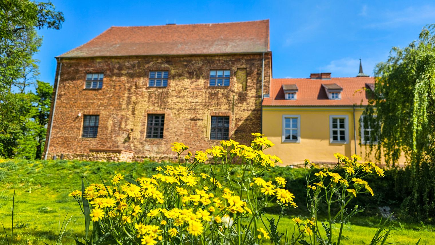 altes Gebäude und davor gelbe Blumen